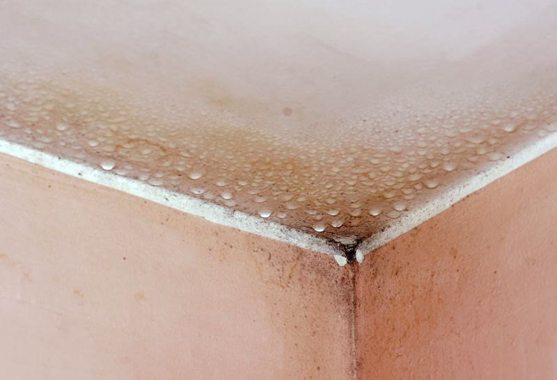 Garage Mold Remediation in Boca Raton, FL