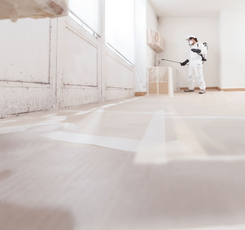 Mold Treatment Service in Fort Lauderdale, FL