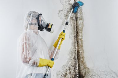 Get Early Detection of Mold with Mold Testing!