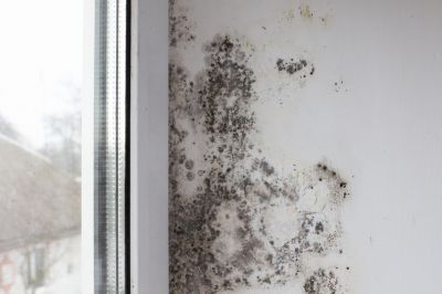 Get Peace of Mind with Mold Testing!