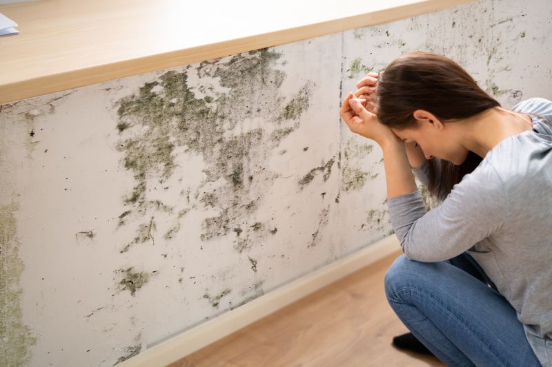 Mold Testing
