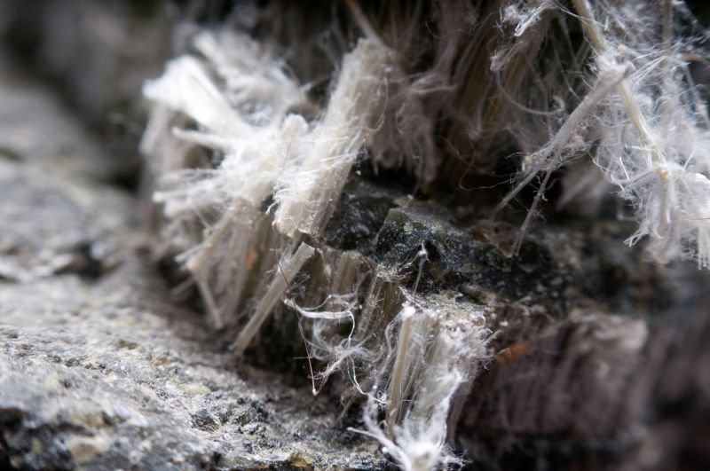 Asbestos Service in Freehold, NJ