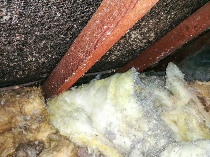 Basement Asbestos Removal in Monmouth County, NJ