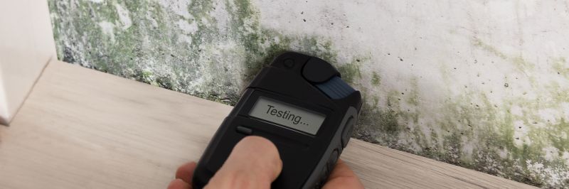 Cost of Mold Testing — Cost of Mold Testing