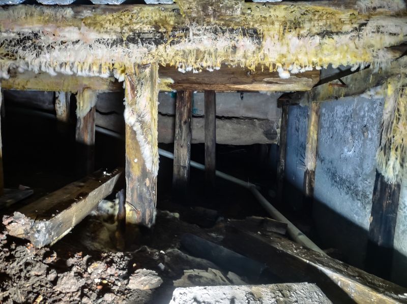 Crawlspace Mold Remediation in Essex County, NJ