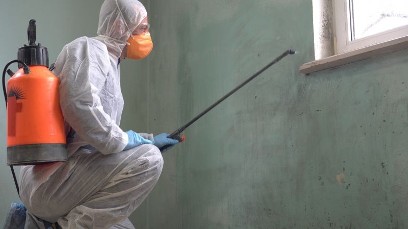 Mold Control in Palm Beach County, FL