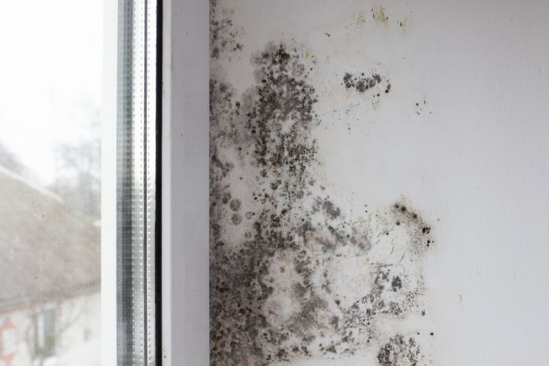 Mold Restoration in Fort Lauderdale, FL